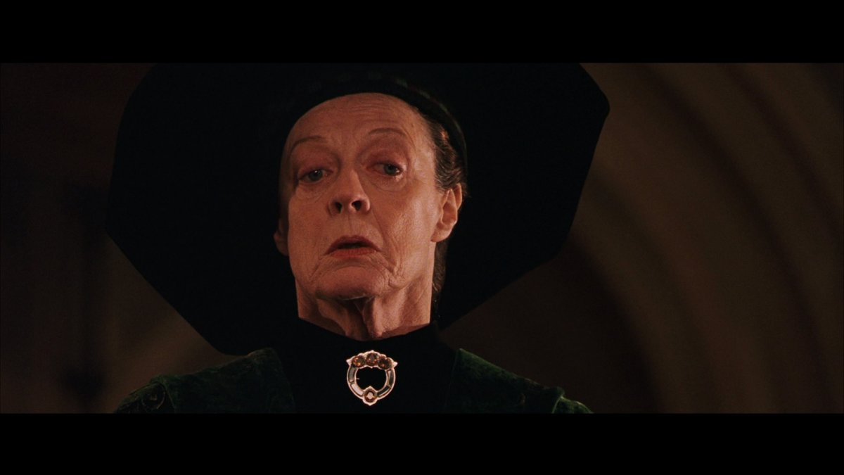 professor mcgonagall ranks the highest of all the characters for intellect