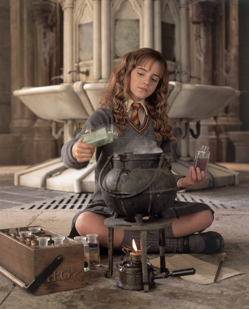 hermione brewing polyjuice