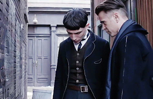 credence percival fantastic beasts