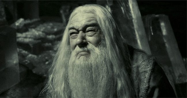 albus dumbledore 6