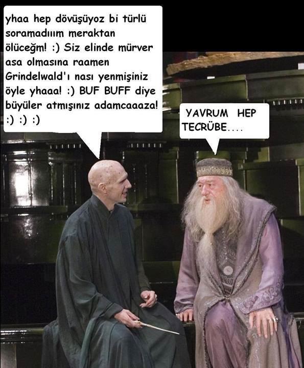 dumbledore voldemort