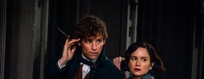 eddie redmayne as newt scamander in fantastic beasts and where to find them