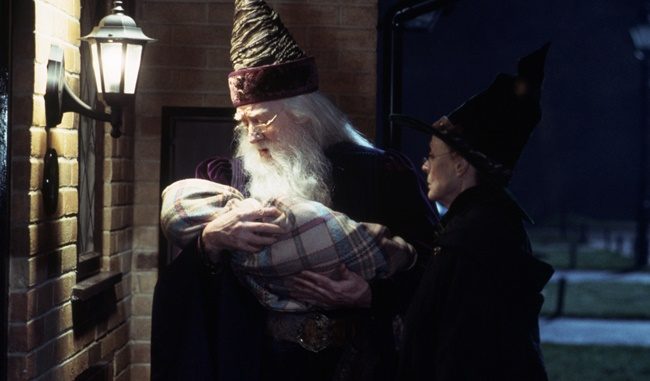albus dumbledore harry potter minerva