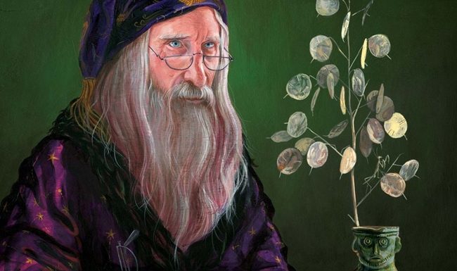 albus dumbledore portre